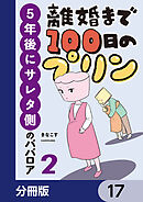 離婚まで100日のプリン【分冊版】　17