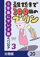 離婚まで100日のプリン【分冊版】　20