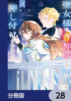 聖女様に醜い神様との結婚を押し付けられました【分冊版】　28