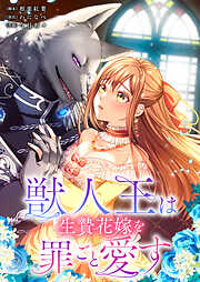 美品    イケメン戦国◆時をかける恋　公式ビジュアルファンブック イケメン戦国◇時をかける恋 公式ビジュアルファンブック