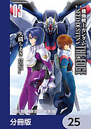 新装版　機動戦士ガンダムSEED　DESTINY THE EDGE【分冊版】　25