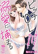 ビッチOL溺愛に捕まる～彼だけのモノになるまで抱かれる夜～ 3