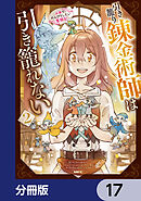 引き籠り錬金術師は引き籠れない ～お家でのんびりしたい奮闘記～【分冊版】　17