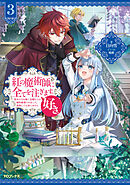 紅の魔術師に全てを注ぎます。好き。3～聖女の力を軽く見積もられ婚約破棄されました。後悔しても知りません～【電子書籍限定書き下ろしSS付き】
