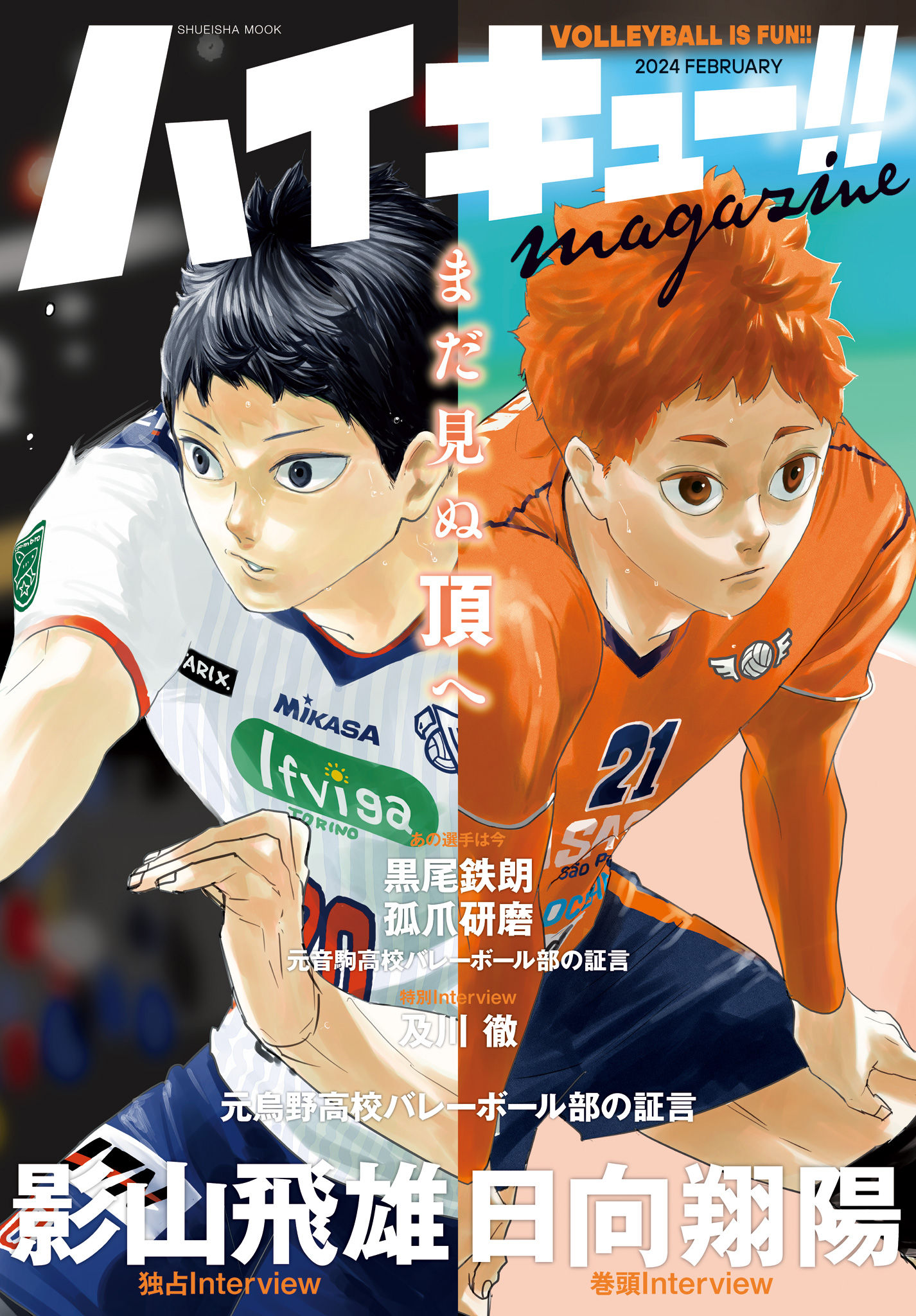 ハイキュー!! magazine 2024 FEBRUARY - 古舘春一 - 漫画・ラノベ 