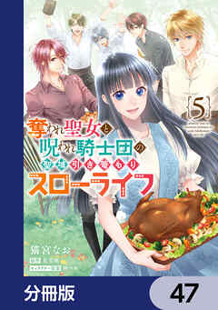 奪われ聖女と呪われ騎士団の聖域引き篭もりスローライフ【分冊版】　47
