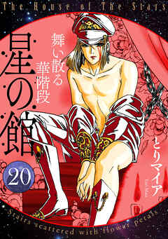 星の館20 舞い散る華階段