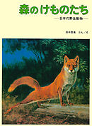 森の けものたち　日本の野生動物