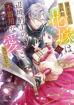 置き去りにされた花嫁は、辺境騎士の不器用な愛に気づかない３【電子特典付き】