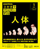 ＮＨＫ ３か月でマスターする 人体 2026年1月