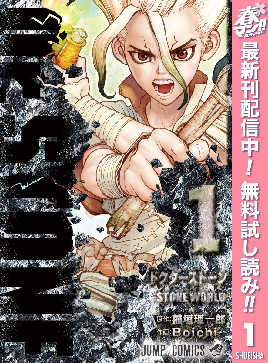 【期間限定 無料お試し版】Dr.STONE 1 - 稲垣理一郎/Boichi - 漫画