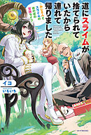 道にスライムが捨てられていたから連れて帰りました　～おじさんとスライムのほのぼの冒険ライフ～