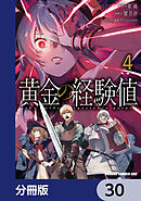 黄金の経験値【分冊版】　30
