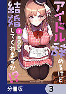 アイドル辞めるけど結婚してくれますか!?【分冊版】　3