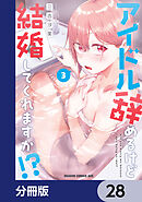 アイドル辞めるけど結婚してくれますか!?【分冊版】　28