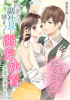 うん、ちょっと落ちつこっか？～訳アリ副社長に捕まって溺愛執着されてます～【完全版】1