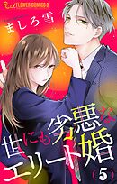 世にも劣悪なエリート婚【マイクロ】 5