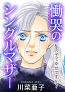 慟哭のシングルマザー～私の子で幸せですか？～