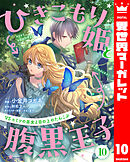 ひきこもり姫と腹黒王子 VSヒミツの巫女と目の上のたんこぶ 10