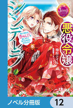 悪役令嬢シンデレラ【ノベル分冊版】　12 - 柚原テイル/アオイ冬子 - TL(ティーンズラブ)小説・無料試し読みなら、電子書籍・コミックストア ブックライブ