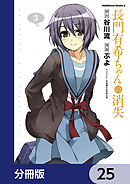 長門有希ちゃんの消失【分冊版】　25