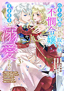 ルーン魔術だけが取り柄の不憫令嬢、天才王子に溺愛される ～婚約者、仕事、成果もすべて姉に横取りされた地味な妹ですが、ある日突然立場が逆転しちゃいました～（コミック） ： 3