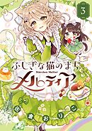 ふしぎな猫のまち メルティア 3