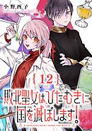 敗北聖女は、ひたむきに国を滅ぼします!【分冊版】 12