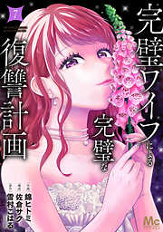 完璧ワイフによる完璧な復讐計画 単行本版