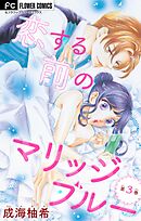 恋する前のマリッジブルー【マイクロ】 3