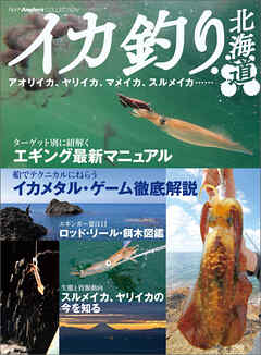 イカ釣り北海道