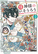 京都下鴨 神様のいそうろう２　猫神様とアマテラスの宝玉