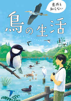 意外と知らない鳥の生活