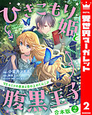 【合本版】ひきこもり姫と腹黒王子 VSヒミツの巫女と目の上のたんこぶ 2