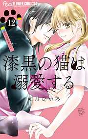 漆黒の猫は溺愛する【マイクロ】