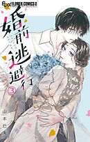 婚前逃避行【マイクロ】 3