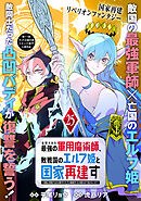処刑された最強の軍用魔術師、敗戦国のエルフ姫と国家再建す～祖国よ邪魔するのは勝手だが、その魔術作ったの俺なので効かないが？～（単話版）第25話