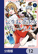 転生錬金少女のスローライフ【分冊版】　12
