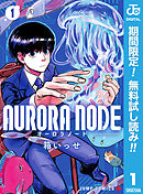 【期間限定　無料お試し版】AURORA NODE