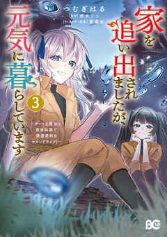 家を追い出されましたが、元気に暮らしています　～チートな魔法と前世知識で快適便利なセカンドライフ！～ 3
