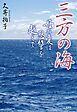 三方の海　母の愛は恩讐を越えて