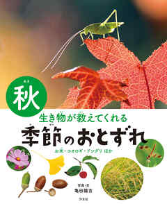 生き物が教えてくれる 季節のおとずれ 秋 お米・コオロギ・ドングリほか
