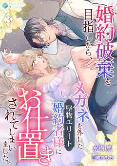 婚約破棄を目指したら、メガネを外した堅物エリート婚約者様にお仕置きされてしまいました。（３）