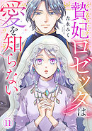 贄妃ロゼッタは愛を知らない(11)