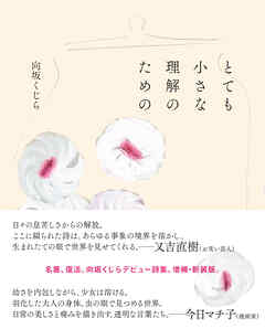 とても小さな理解のための