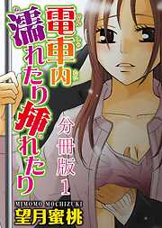 【期間限定　無料お試し版】電車内濡れたり挿れたり【分冊版】