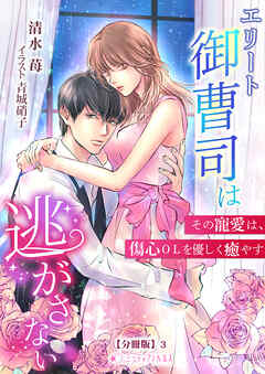 エリート御曹司は逃がさない～その寵愛は、傷心ＯＬを優しく癒やす～【分冊版】3