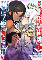処刑された最強の軍用魔術師、敗戦国のエルフ姫と国家再建す～祖国よ邪魔するのは勝手だが、その魔術作ったの俺なので効かないが？～（３）