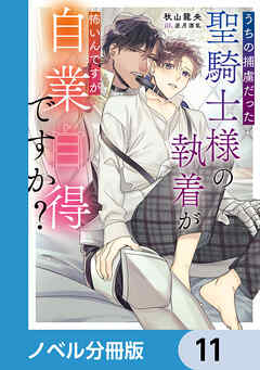 うちの捕虜だった聖騎士様の執着が怖いんですが自業自得ですか？【ノベル分冊版】　11