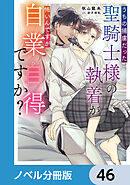 うちの捕虜だった聖騎士様の執着が怖いんですが自業自得ですか？【ノベル分冊版】　46